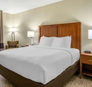 Comfort Inn & Suites St. Pete - Clearwater International Airport hotel detail image 7