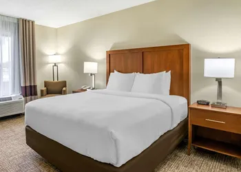 Comfort Inn & Suites St. Pete - Clearwater International Airport hotel thumbnail 7