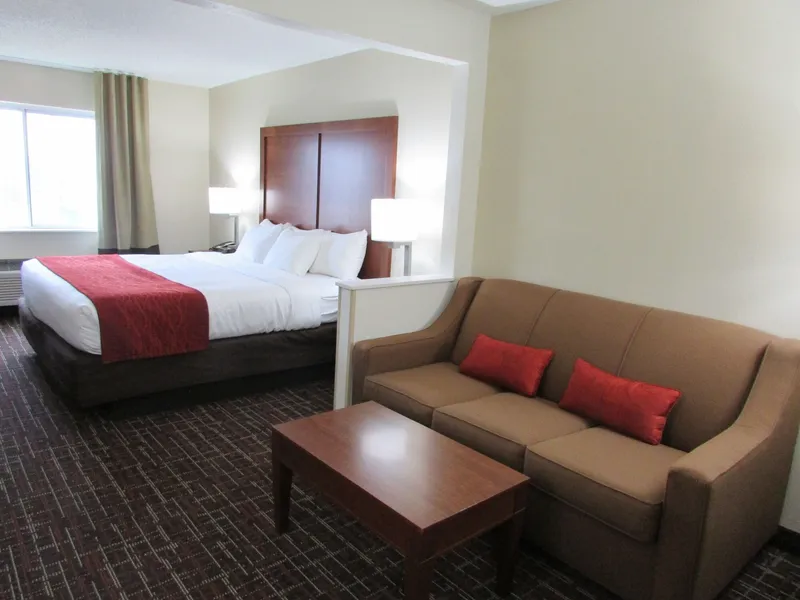 Comfort Inn Wichita Falls Near University hotel detail image 6
