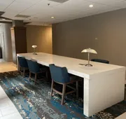 Embassy Suites by Hilton Chicago Schaumburg Woodfield hotel detail image 4