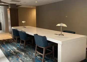 Embassy Suites by Hilton Chicago Schaumburg Woodfield hotel thumbnail 4