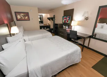 Red Roof Inn PLUS+ Washington DC - Manassas hotel thumbnail 5