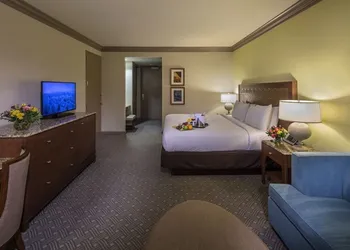 Moody Gardens Hotel, Spa and Convention Center hotel thumbnail 8