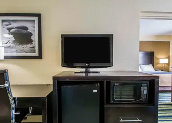 Comfort Inn & Suites Lantana - West Palm Beach South hotel thumbnail 8
