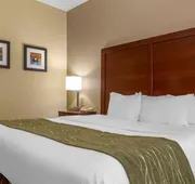 Comfort Inn Duncansville - Altoona hotel detail image 5
