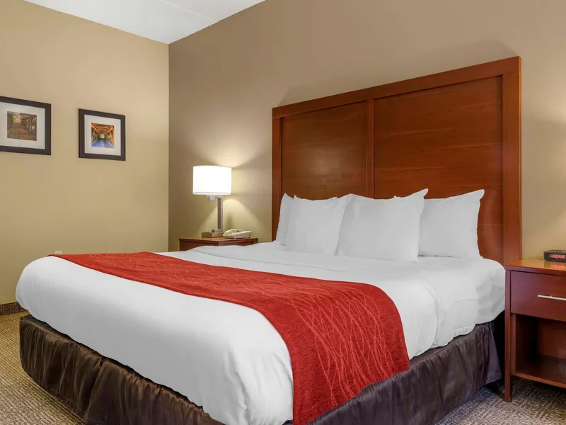 Comfort Inn Duncansville - Altoona hotel detail image 6