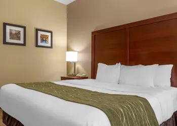 Comfort Inn Duncansville - Altoona hotel thumbnail 5