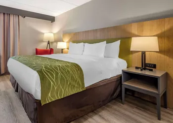 Comfort Inn & Suites Liverpool - Syracuse North hotel thumbnail 8