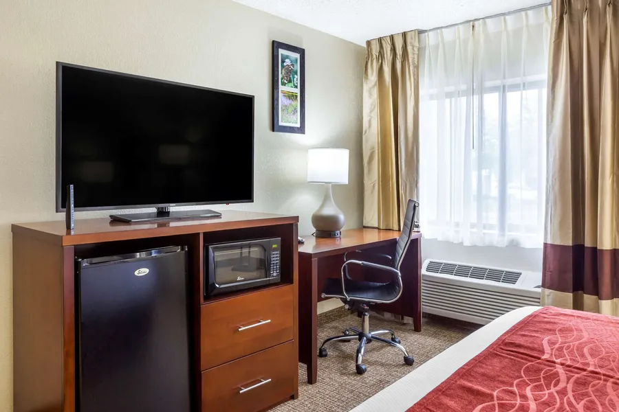 Comfort Inn Hoffman Estates - Schaumburg hotel detail image 6