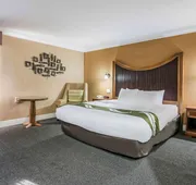 Quality Inn & Suites hotel detail image 5