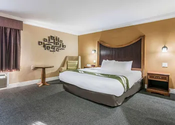 Quality Inn & Suites hotel thumbnail 5