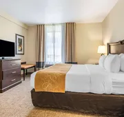 Comfort Suites Maingate East hotel detail image 7