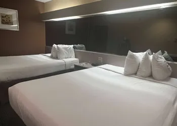 Microtel Inn & Suites by Wyndham Houston hotel thumbnail 6