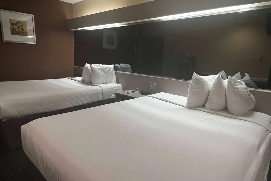 Microtel Inn & Suites by Wyndham Houston hotel detail image 6