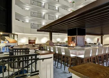 Embassy Suites by Hilton Orlando Downtown hotel thumbnail 3