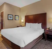 Comfort Inn Lathrop - Stockton Airport hotel detail image 5