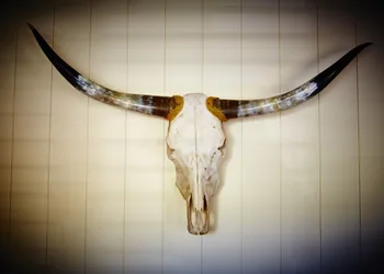 Laguna Beach House hotel thumbnail 4
