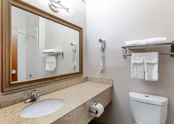 Quality Suites Austin South St. Elmo District hotel thumbnail 6