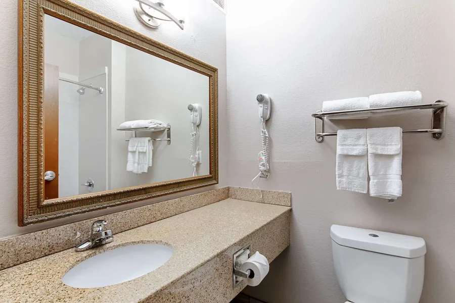 Quality Suites Austin South St. Elmo District hotel detail image 6