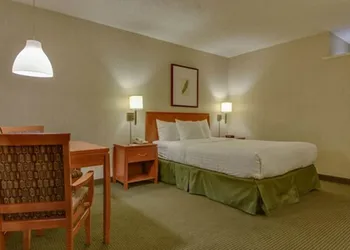 Vagabond Inn Los Angeles at USC hotel thumbnail 7