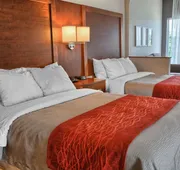Comfort Inn Ruther Glen near Kings Dominion hotel detail image 5