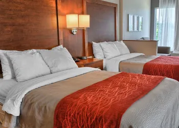 Comfort Inn Ruther Glen near Kings Dominion hotel thumbnail 5