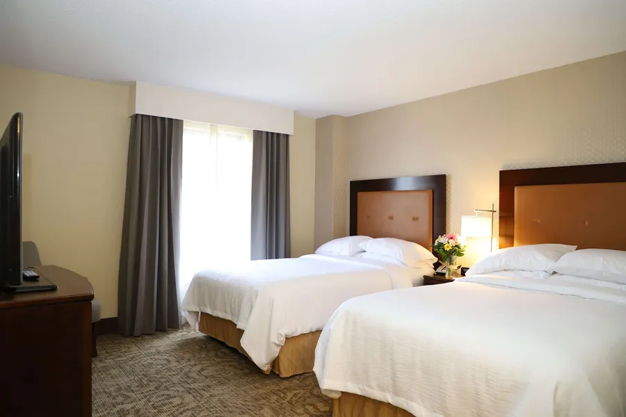 Embassy Suites by Hilton Nashville at Vanderbilt hotel detail image 6