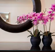 Best Western Salinas Valley Inn & Suites hotel detail image 3