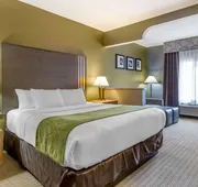 Comfort Suites Southgate-Detroit hotel detail image 4