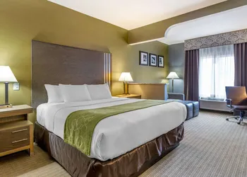 Comfort Suites Southgate-Detroit hotel thumbnail 4
