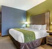 Comfort Suites Southgate-Detroit hotel detail image 5