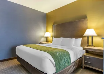 Comfort Suites Southgate-Detroit hotel thumbnail 8