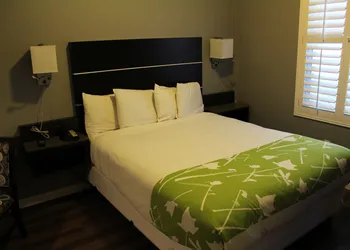 Layne Hotel hotel thumbnail 8