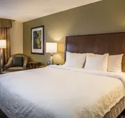 Hilton Garden Inn Richmond Innsbrook hotel detail image 7