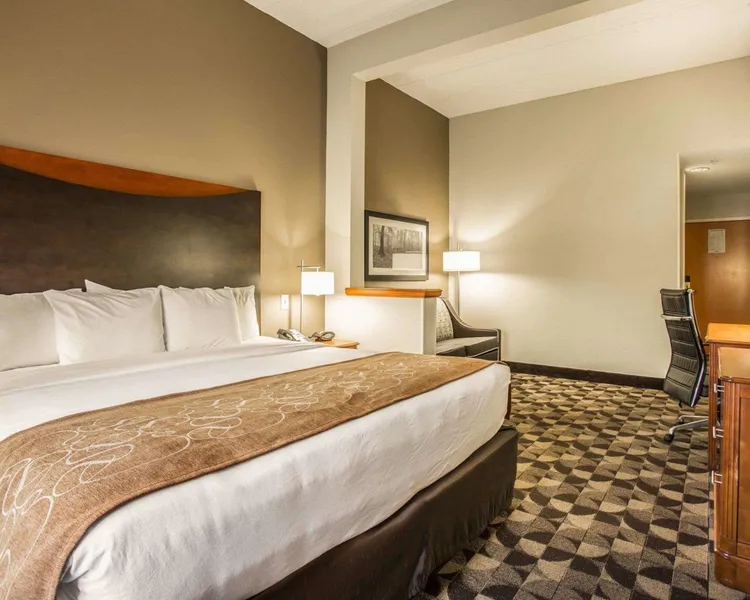 Comfort Suites Columbia at Harbison hotel detail image 6