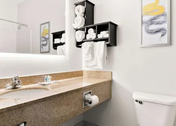 Comfort Suites Southfield/Detroit hotel thumbnail 7