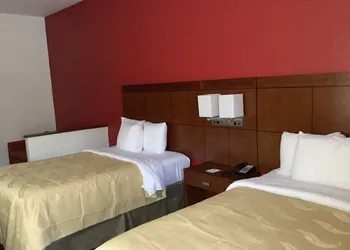 Quality Inn Zephyrhills - Dade City hotel thumbnail 5