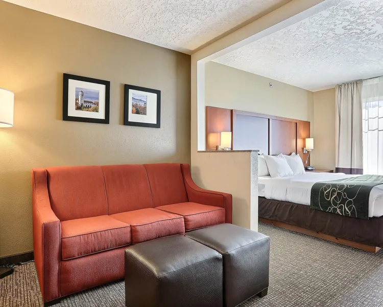 Comfort Suites Airport hotel detail image 6