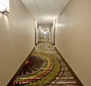 Hampton Inn & Suites Nashville-Smyrna hotel detail image 4