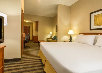 Holiday Inn Express Hotel & Suites Manteca by IHG hotel thumbnail 7