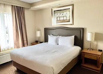 Waterloo Suites Hotel, Trademark Collection by Wyndham hotel thumbnail 8