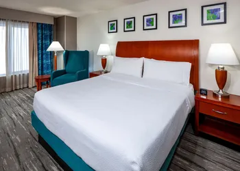 Hilton Garden Inn Chicago OHare Airport hotel thumbnail 8