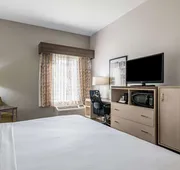 Best Western Auburndale Inn & Suites hotel detail image 7
