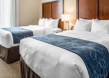 Comfort Suites Near Potomac Mills hotel thumbnail 7