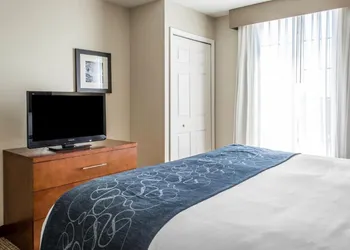 Comfort Suites Near Potomac Mills hotel thumbnail 8