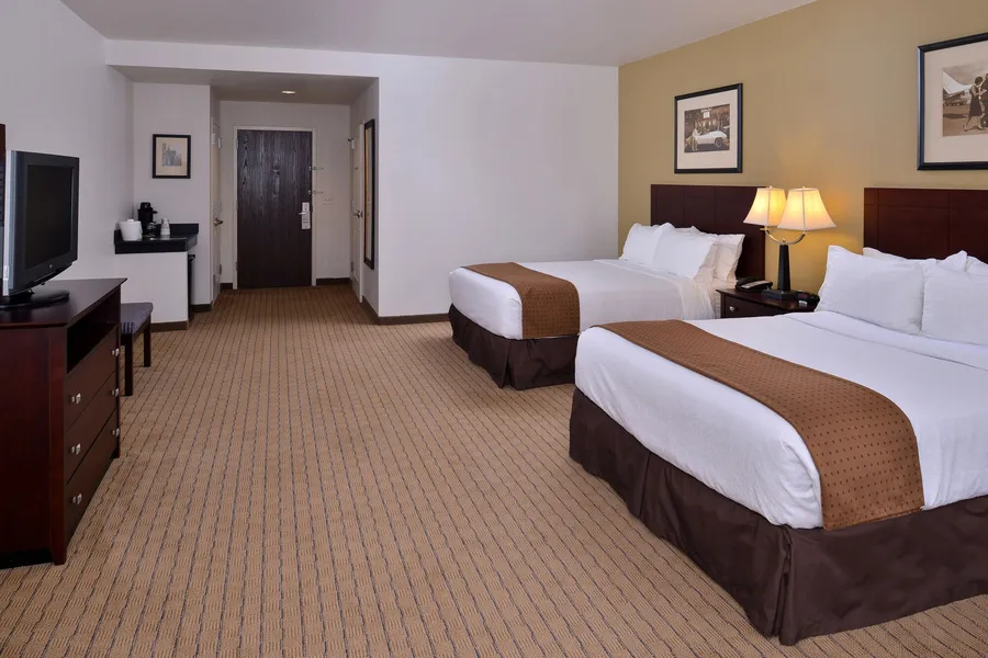 Holiday Inn Madison at The American Center by IHG hotel detail image 2