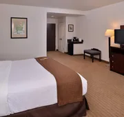 Holiday Inn Madison at The American Center by IHG hotel detail image 3