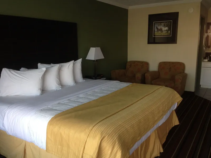 Quality Inn & Suites Horse Cave - Cave City hotel detail image 6