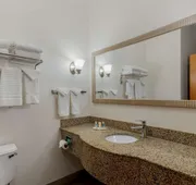 Comfort Suites Stockbridge Atlanta South hotel detail image 5