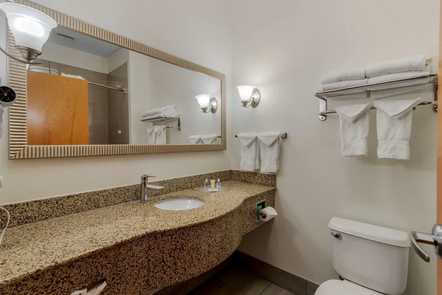 Comfort Suites Stockbridge Atlanta South hotel detail image 6